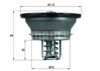 MAHLE ORIGINAL THD 3 76 Thermostat, coolant